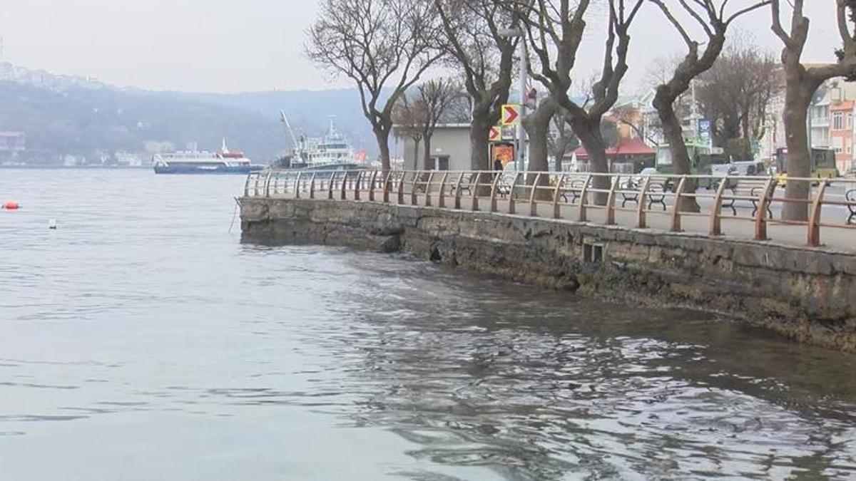 İstanbul Boğazı’nda büyük tehlike! Balık popülasyonunu yok ediyor