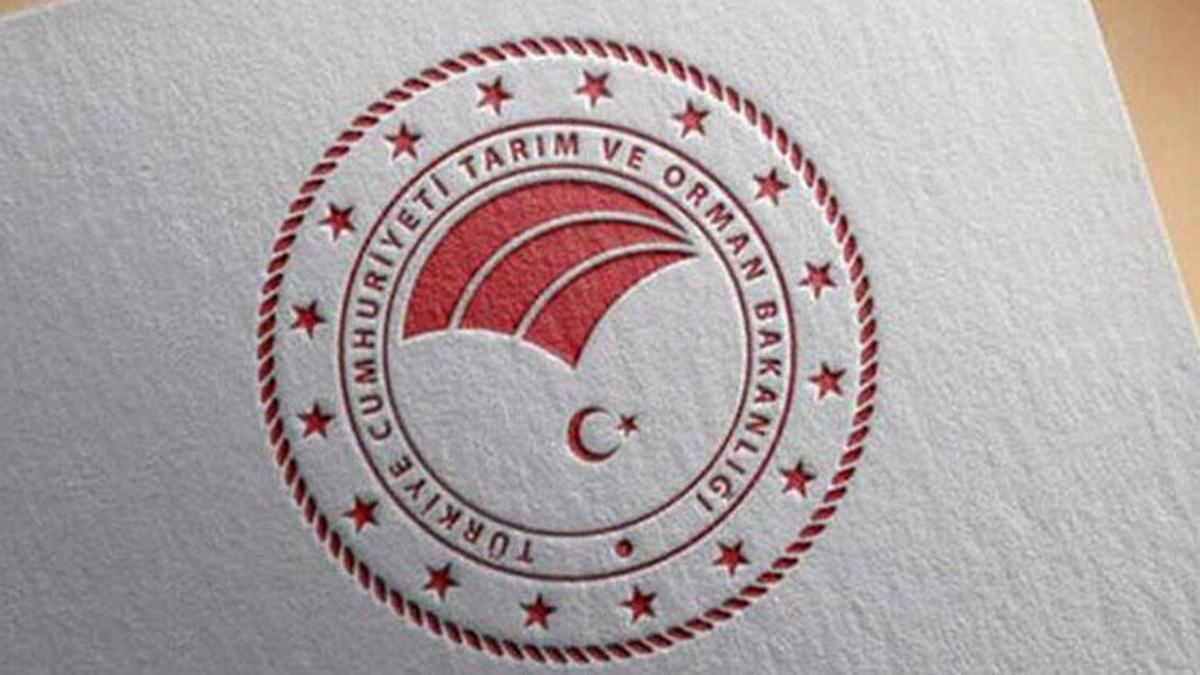 Tarım ve Orman Bakanlığı personel alımı 2023! Tarım ve Orman Bakanlığı 6 bin personel alımı ne zaman yapılacak, başvuru tarihi ve şartları nelerdir?