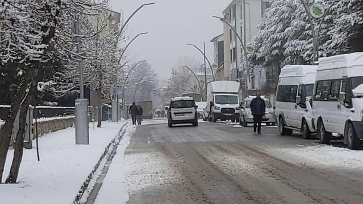 Ölen inek kuduz çıktı, Hozat'a hayvan giriş- çıkışı yasaklandı