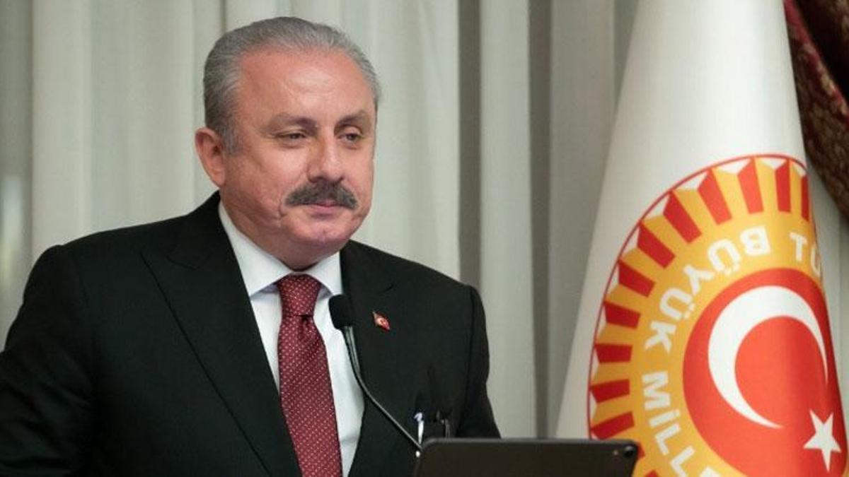 TBMM Başkanı Mustafa Şentop, İsveç Meclis Başkanı ile görüştü