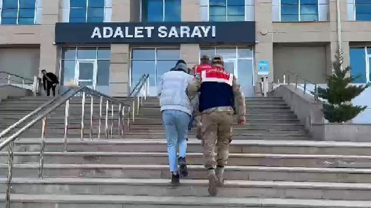 'Arı Operasyonu' düzenleyen jandarma 110 olayı aydınlattı: 8 tutuklama