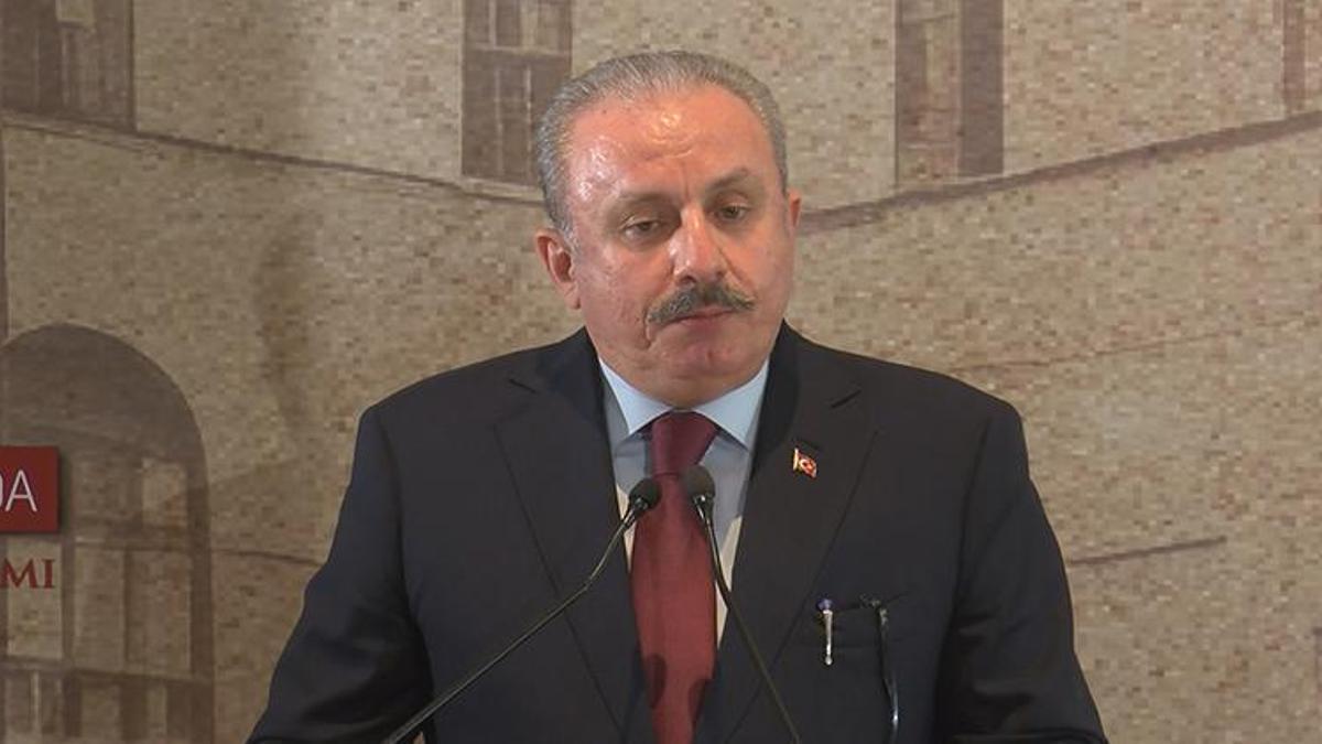 TBMM Başkanı Şentop: Milli bekamıza yönelen tehditler bugün de devam ediyor