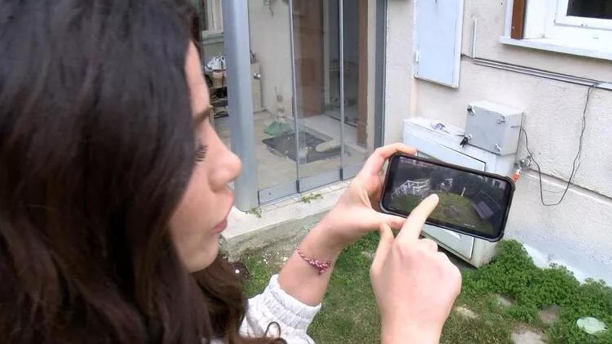 Ünlü şarkıcının villasına tilki girdi! 'Elim ayağım titriyor'