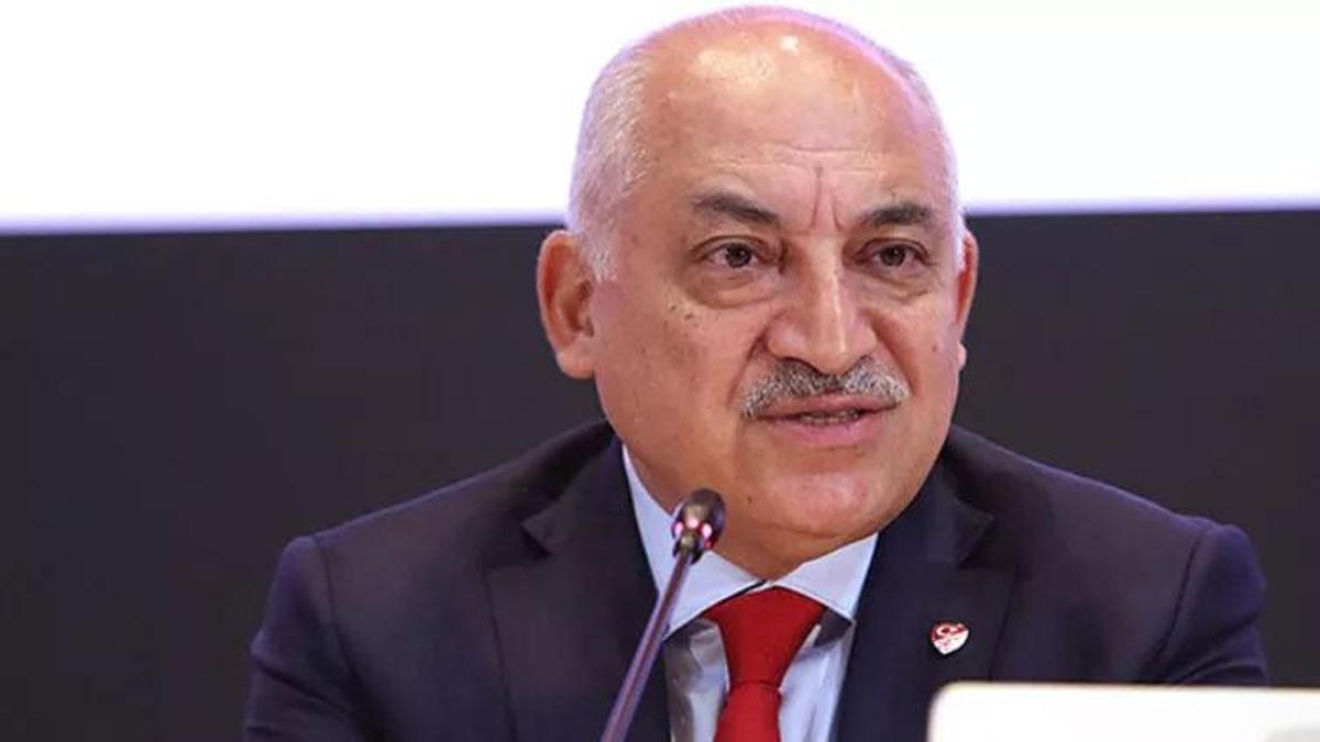 'Gün hep birlikte yaralarımızı sarma günü'
