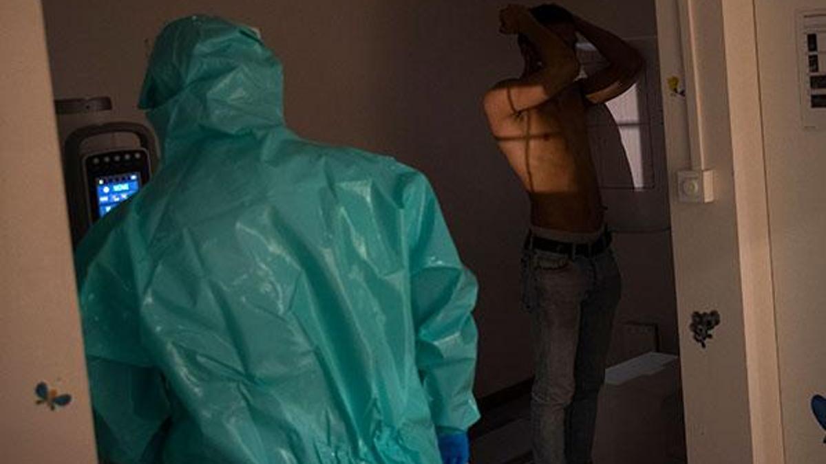 Yeni koronavirüs tehlikesi! On binlerce fare birden fazla virüs taşıyor