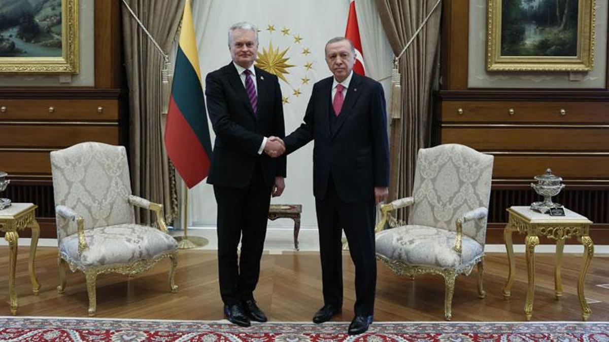 Cumhurbaşkanı Erdoğan, Litvanya Cumhurbaşkanı ile görüştü