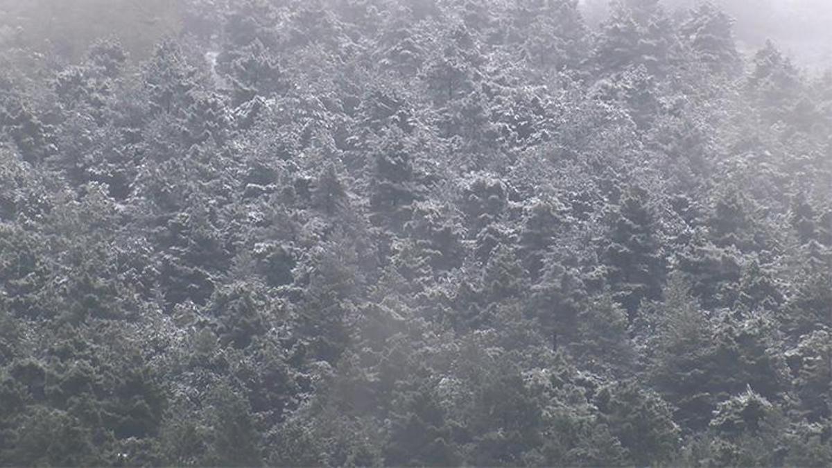 İstanbul'a kar yağdı! Meteoroloji uyardı: Lapa lapa yağacak