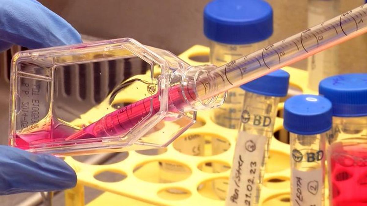 Kanseri can evinde vuracak çalışma! ‘Hastada uygular gibi’ önce laboratuvarda deniyorlar