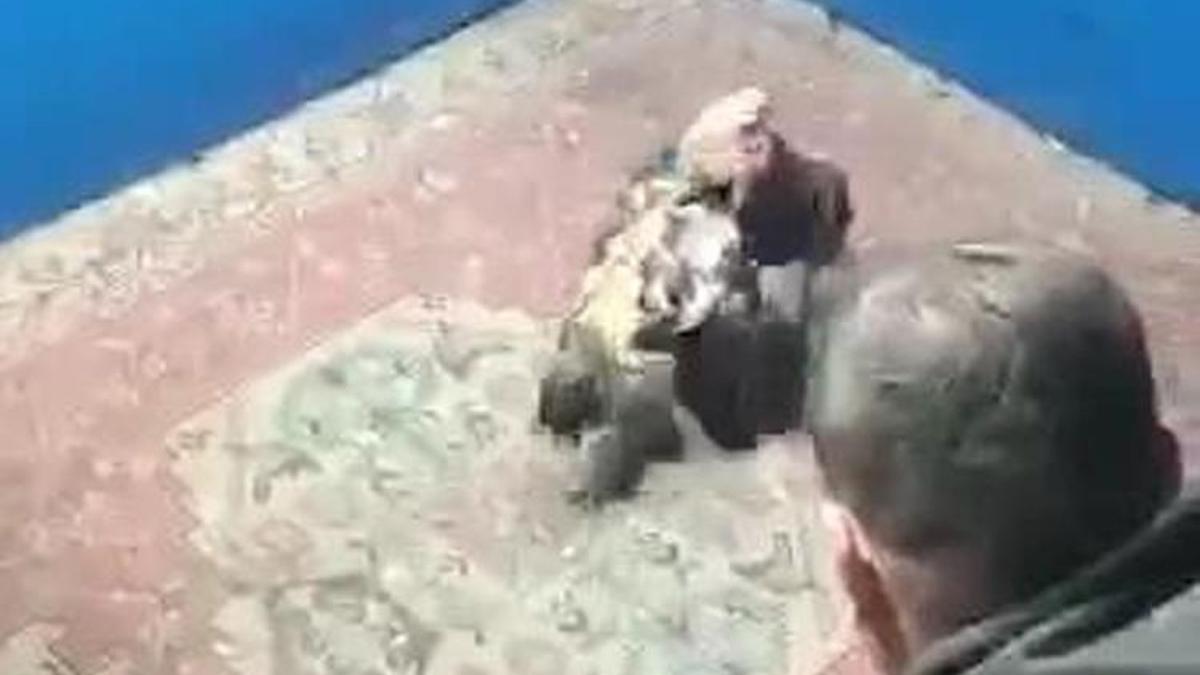 Hayvanları koruma derneğine horoz dövüşü baskını