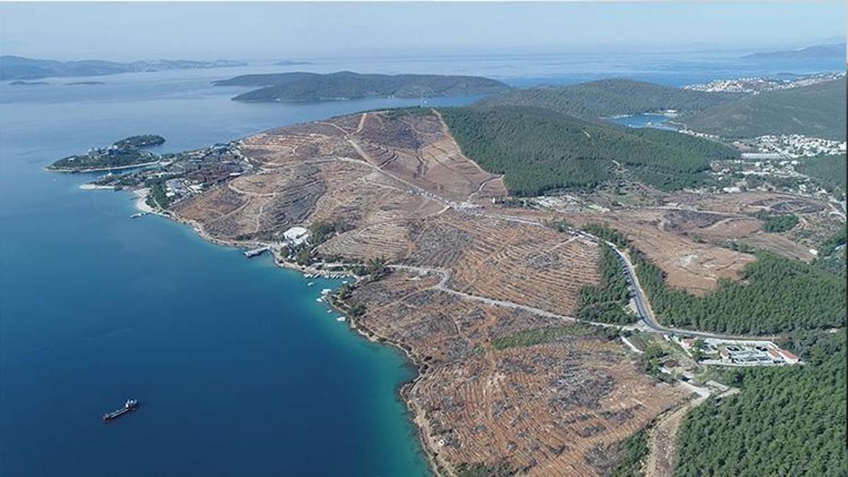 Bodrum'da yanan orman alanları, 21 ay sonra yeşerdi