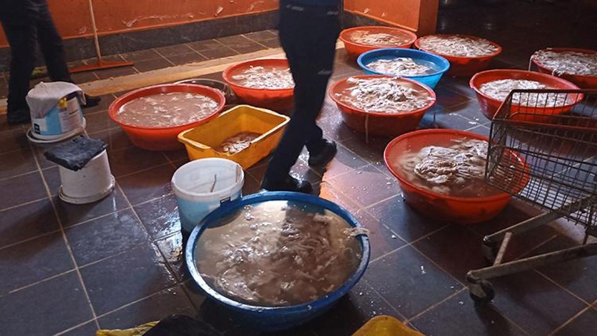 Hepsi imha edildi! Kaçak sakatat deposuna baskın