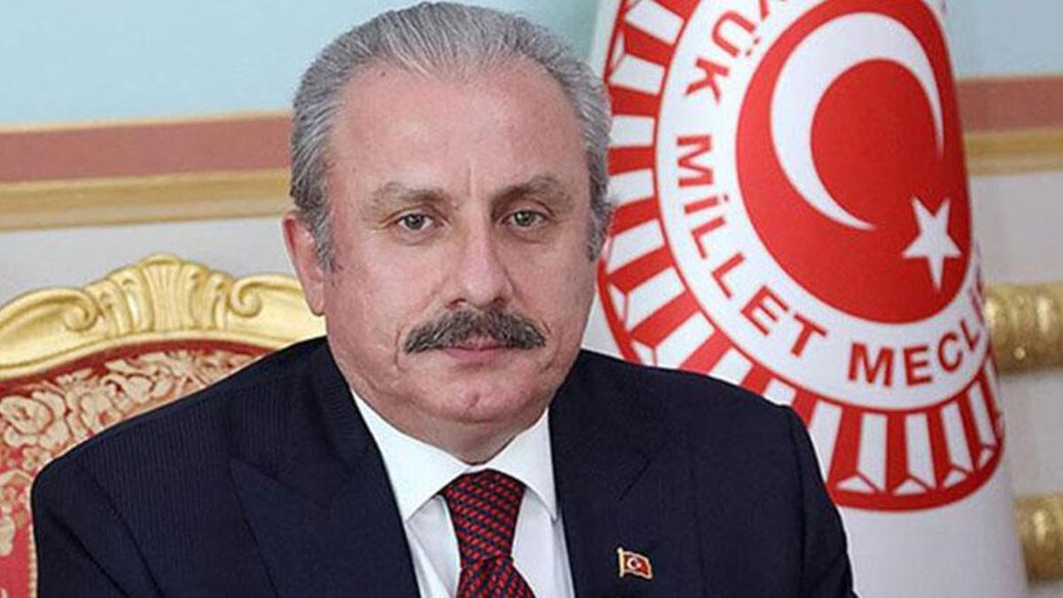 TBMM Başkanı Şentop'tan 'Anneler Günü' mesajı