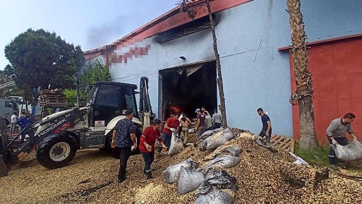 Mersin'de kuruyemiş fabrikasında yangın çıktı