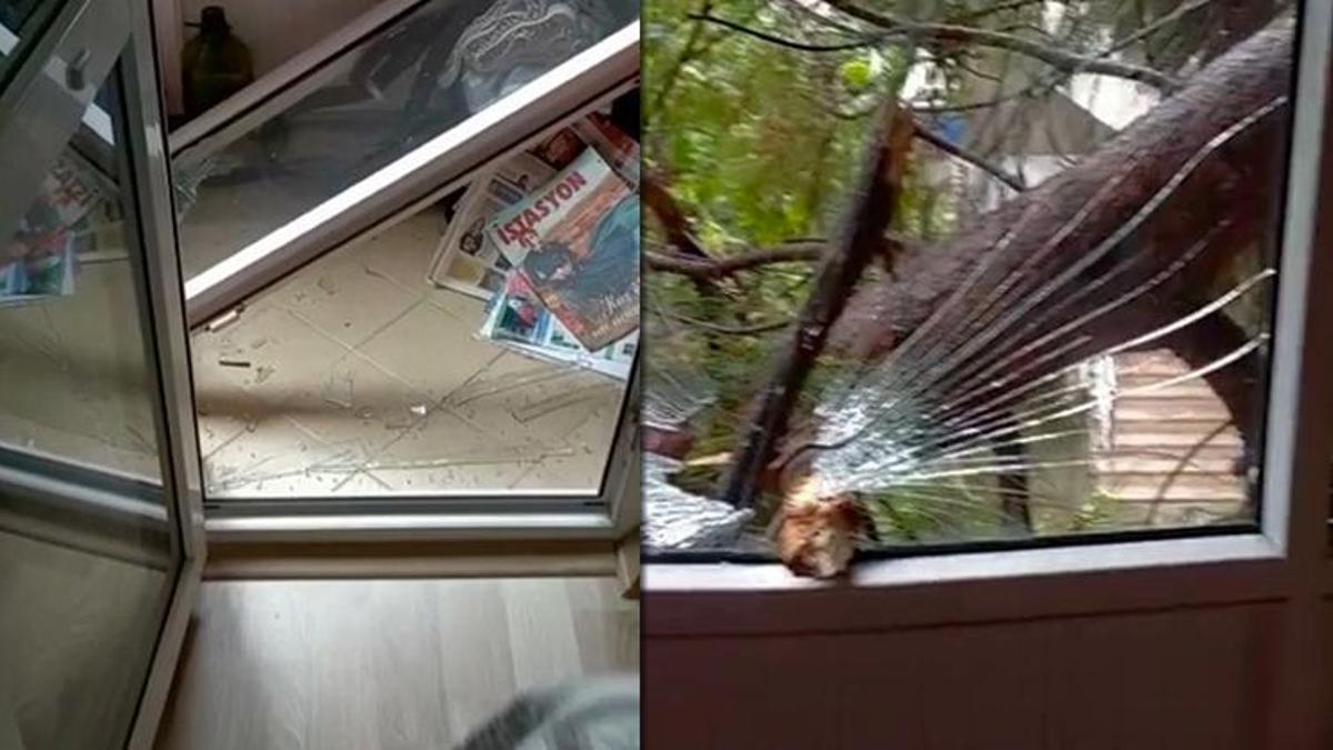Maltepe'de devrilen ağacın dalları bir dairenin balkonundan içeri girdi