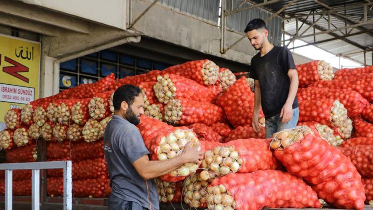 Soğan fiyatları ile ilgili yeni açıklama: ‘Fiyatlar 1-2 lira talep nedeniyle artacak’