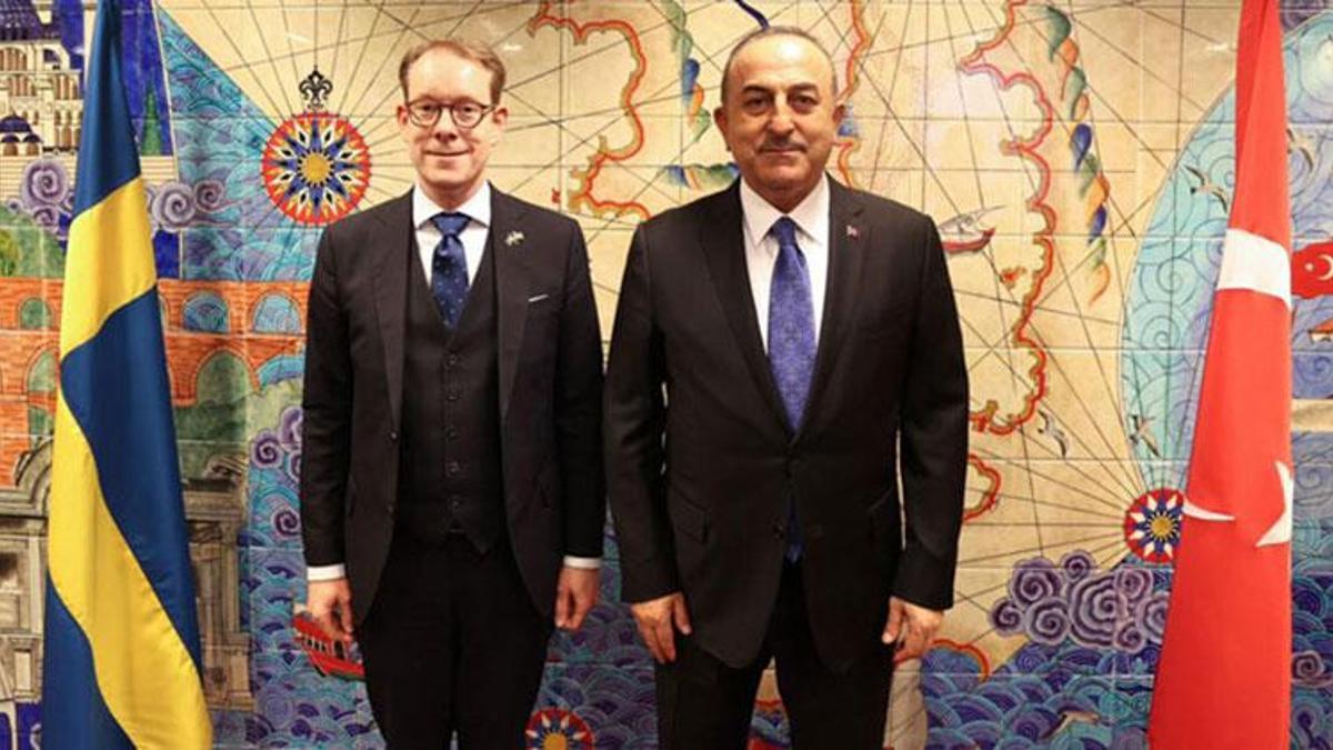 İsveçli Bakan Billström, Bakan Çavuşoğlu ile görüşecek