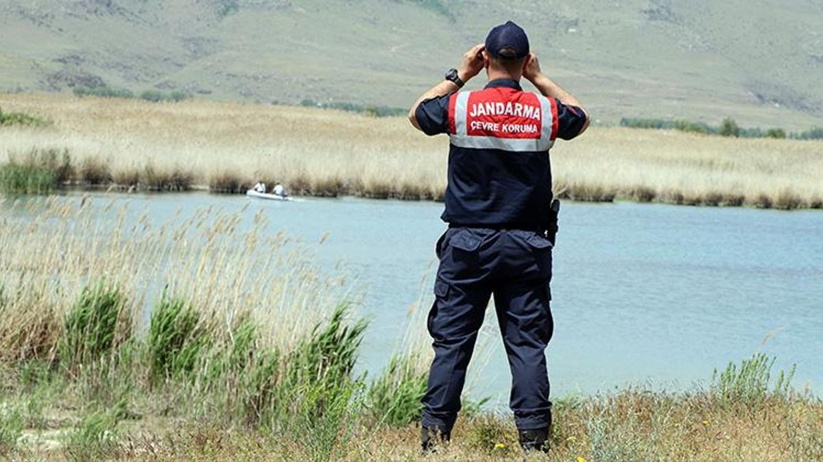 Van Gölü'ndeki inci kefali stoku 50 bin tona çıktı