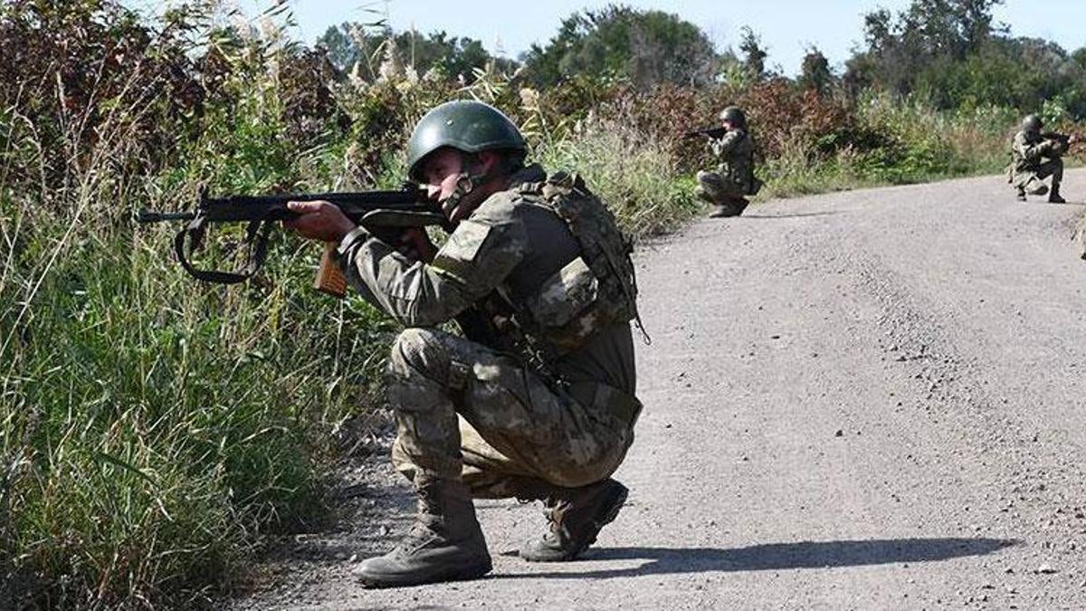 MSB: Barış Pınarı bölgesinde 1 terörist teslim oldu
