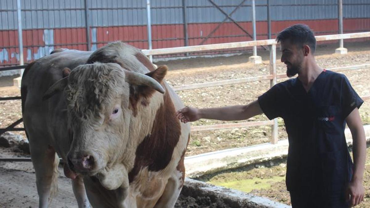 Onu gören şaşırıyor! İkinci el otomobil fiyatına alıcısını bekliyor