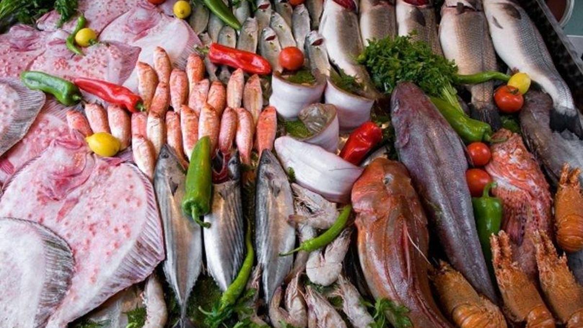Haziran'da hangi balık yenir diyenlere parmak yedirtecek enfes tarif! Orkinos mu ararsın, sardalya mı!