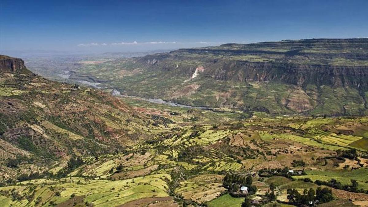 Afrika kıtası ikiye mi ayrılıyor?