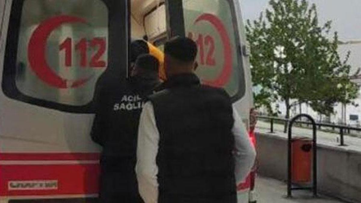 Kooperatif bekçisi dehşet saçtı! Ağaçtan erik toplayan kişiyi vurdu
