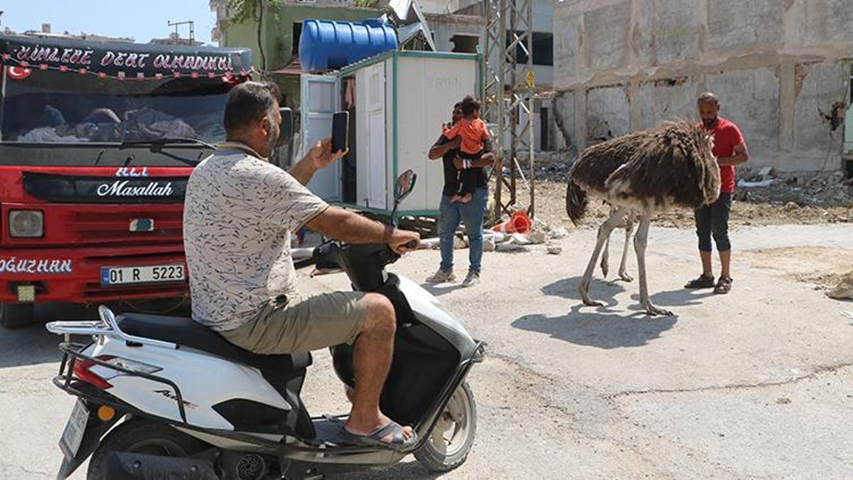 Gören fotoğraf çekiyor! Başta kimse nereden geldiklerini anlayamadı