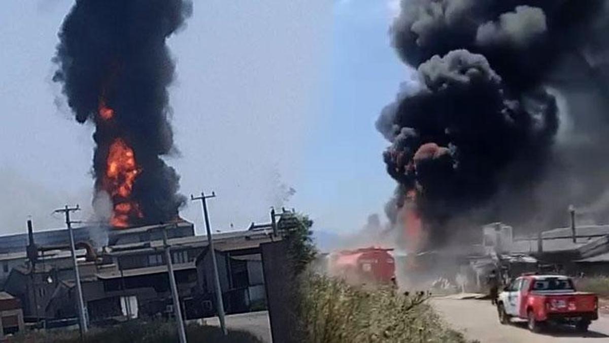Bursa’da kimyasal maddelerin de bulunduğu işletmede yangın