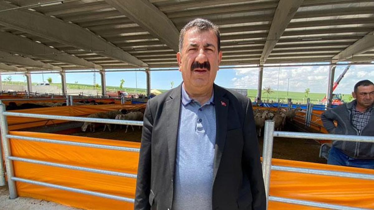 Kurban bağışında 'sahte dernek' uyarısı: Bu paraya ancak hindi alıp kesebilirsiniz