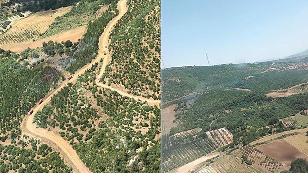 Manisa'da orman yangını!