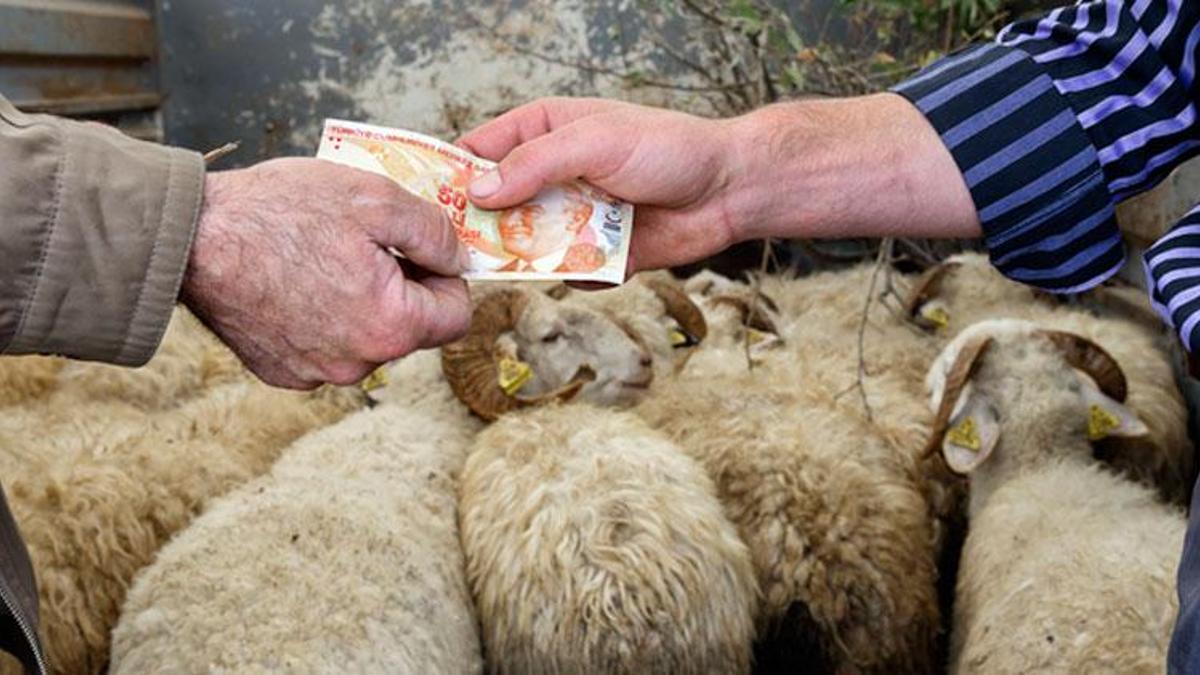 Hem alıcılar hem de satıcılar tehlikede! Kurban sürecinde bu iki sahteciliğe dikkat