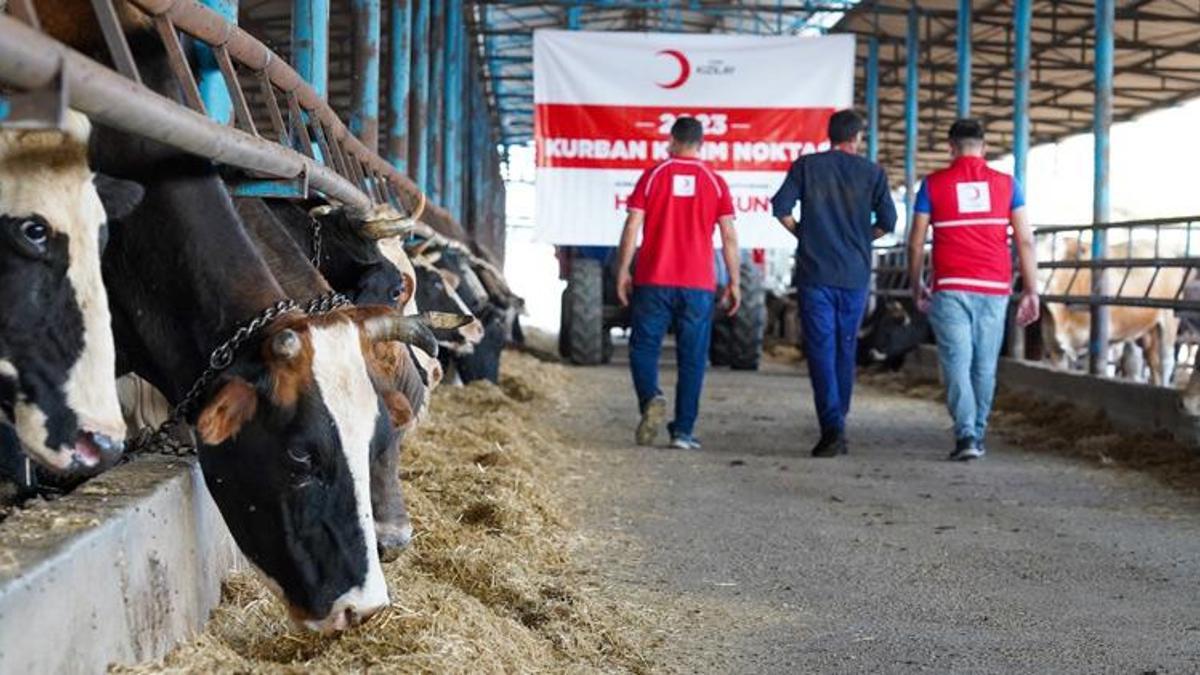 Türk Kızılay, kurban kesimlerini başlattı
