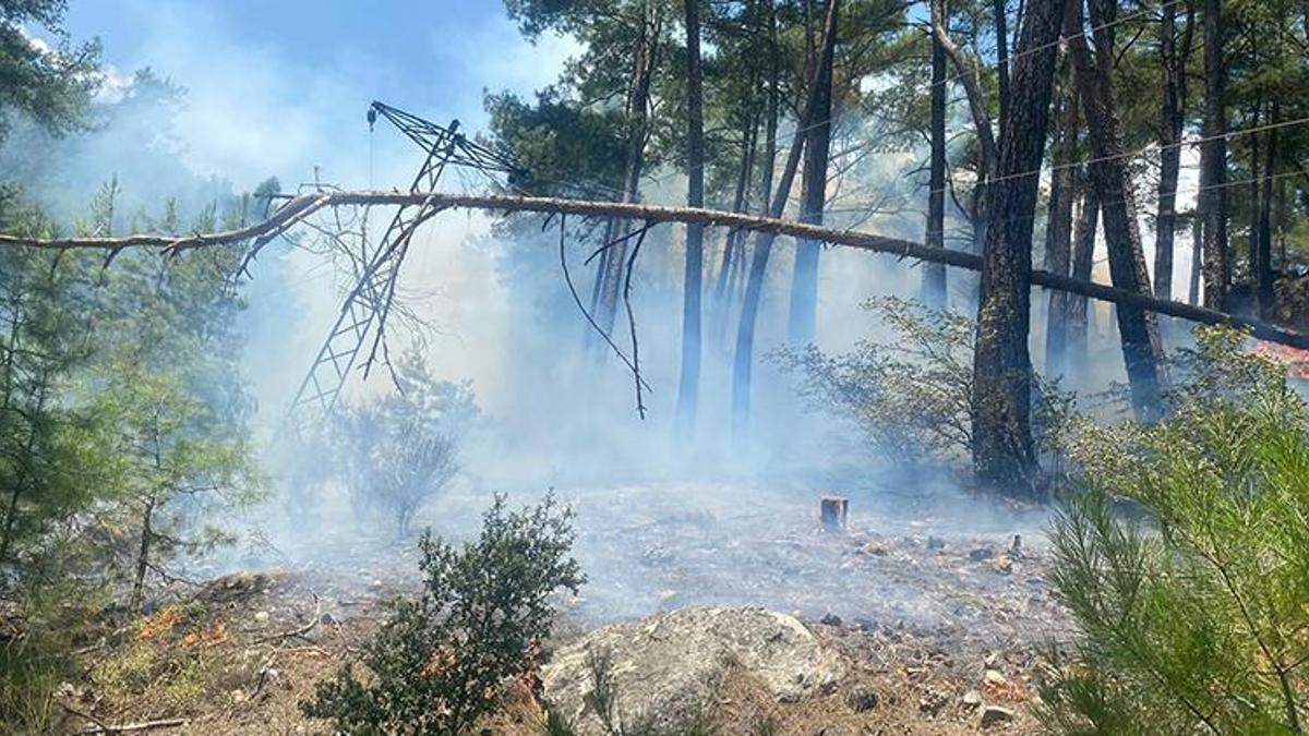 Antalya’da orman yangını! Yayılmadan söndürüldü