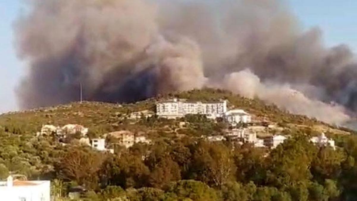 Muğla Datça'da orman yangını yoğun çalışmalar sonucu kontrol altına alındı