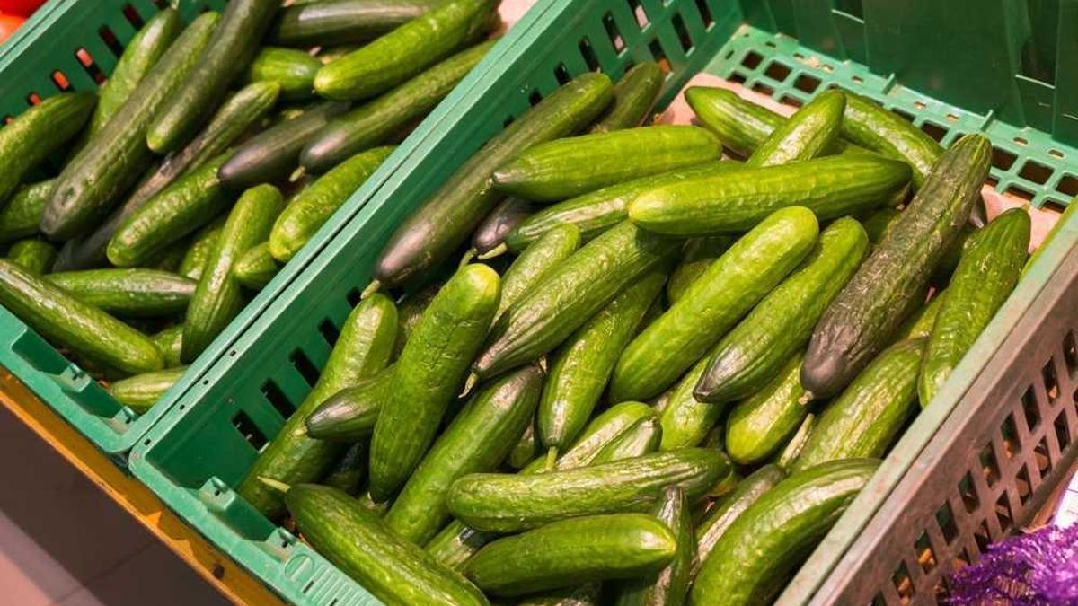 Salatalık Kaç Kalori? Salatalık Besin Değerleri Ve Kalorisi...