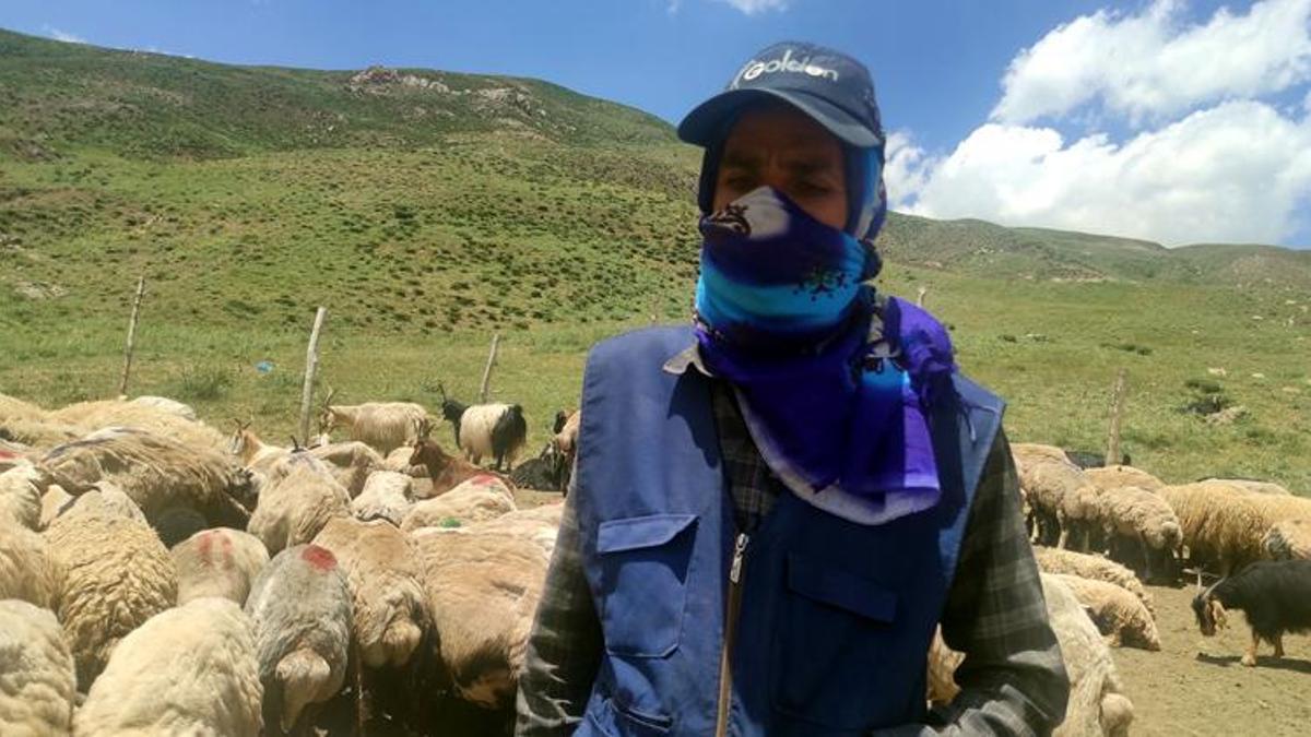 Yerli bulamayınca İran'dan çoban getirdiler! Maaşı 20 bin lira