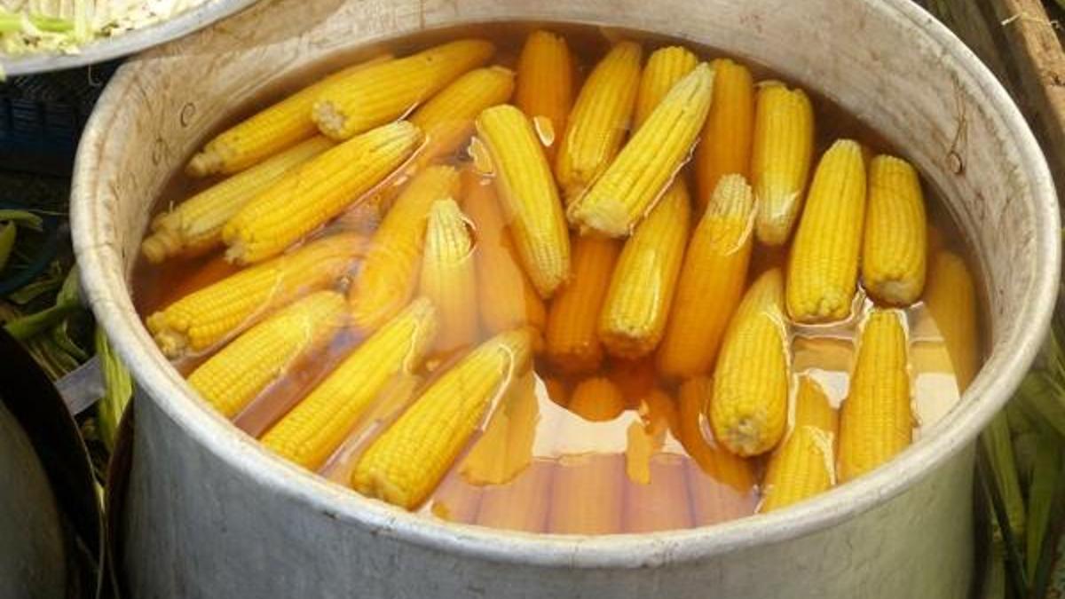 Mısır Kaç Kalori? Mısır Besin Değerleri Ve Kalorisi...