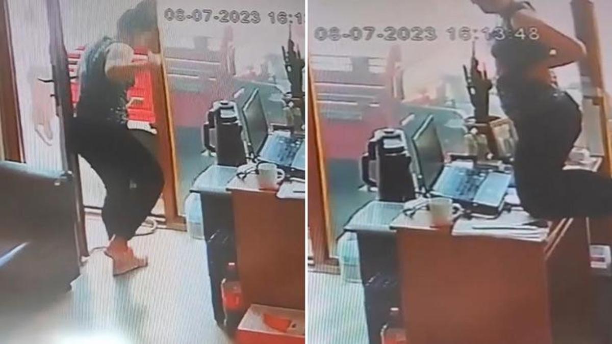 Çanakkale’de yılan işyerine girdi, çalışan korku dolu anlar yaşadı