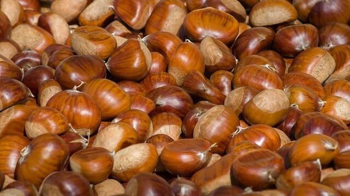 Kestane Kaç Kalori? Kestane Besin Değerleri Ve Kalorisi...