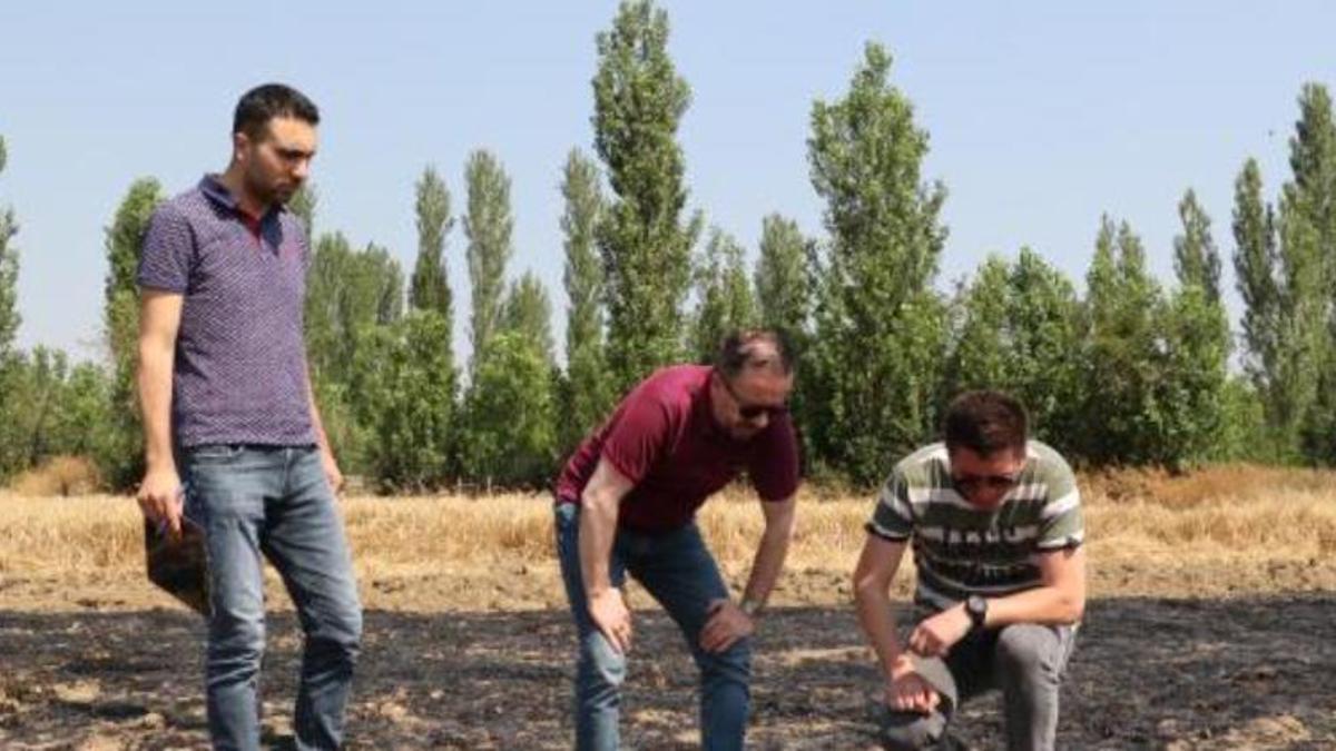 Gizemli yangının nedeni ortaya çıktı! 60 dönüm tarım arazisi kül olmuştu
