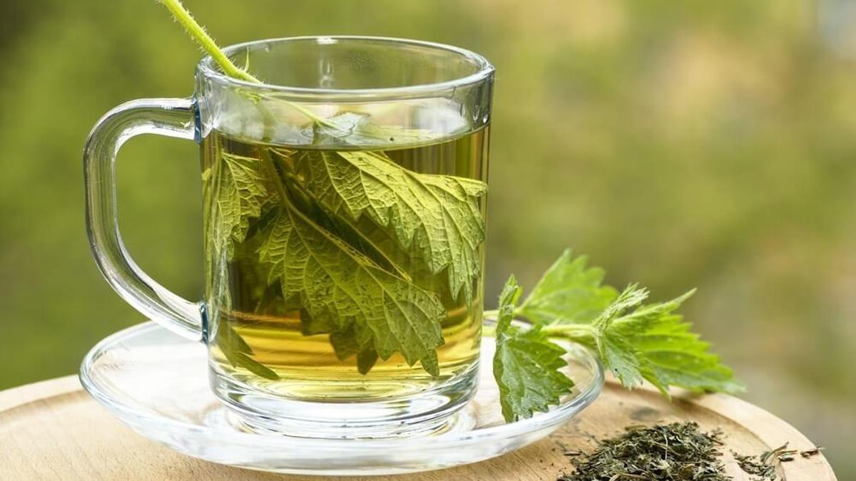 Isırgan Otu Çayı Nedir? Isırgan Otu Çayı Faydaları Nelerdir?