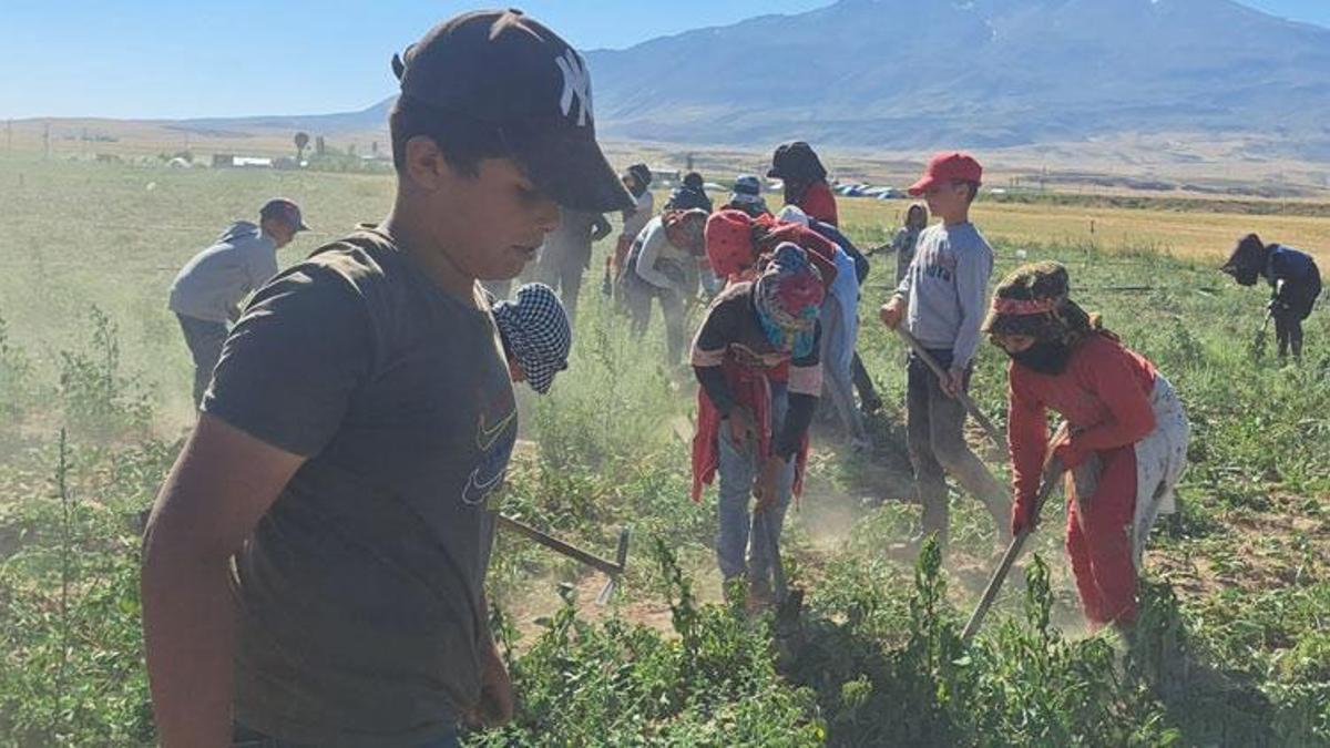 İşçilerin kavurucu sıcakta ekmek mücadelesi
