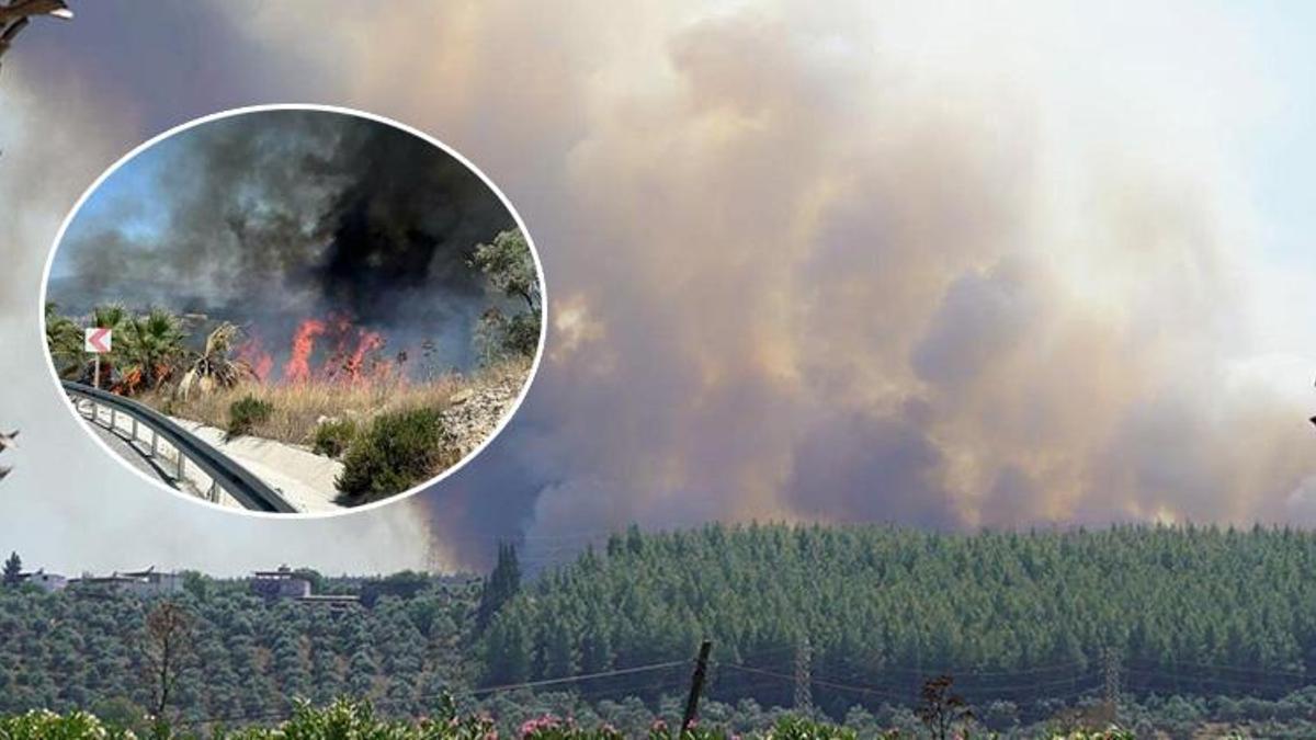 Muğla'daki yangının nedeni ortaya çıktı! Soruşturma başlatıldı