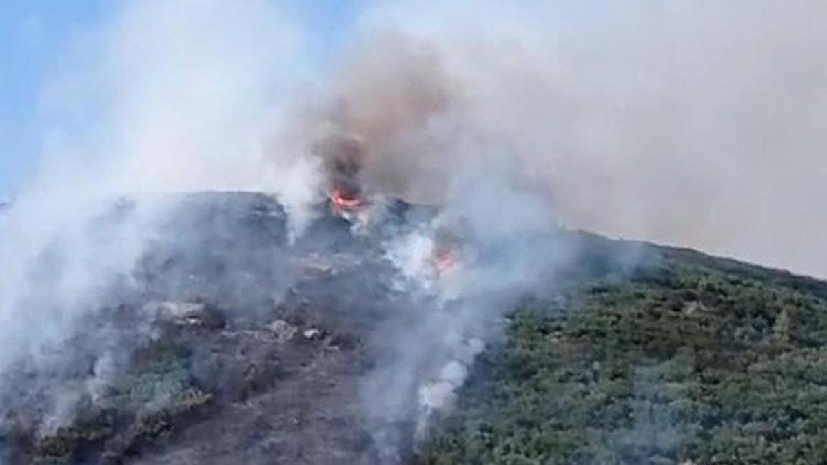 Muğla'da orman yangını