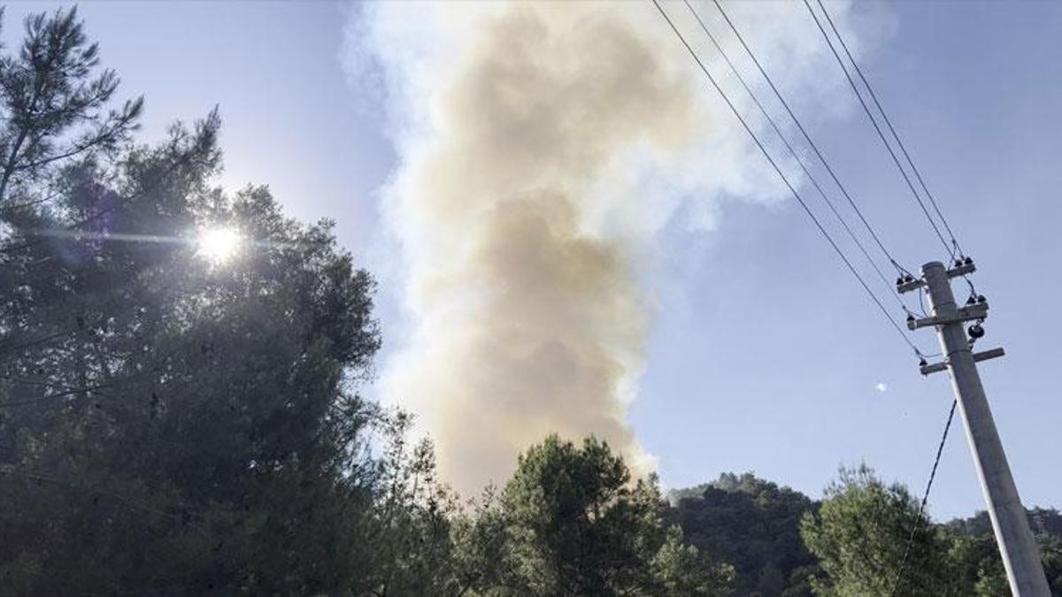 Antalya'nın Alanya ilçesinde orman yangını çıktı