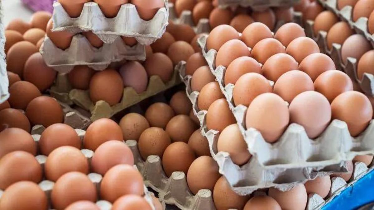 Yumurtadan yasaklı madde çıktı! Bakanlık soruşturma başlattı