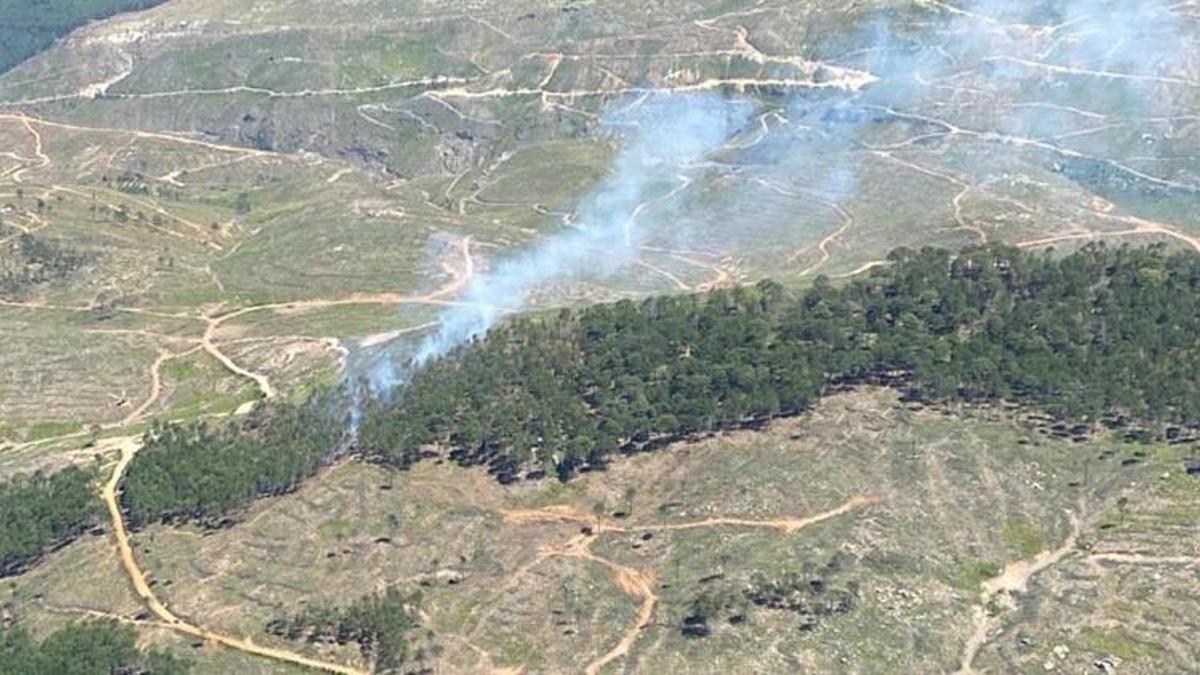 Muğla’da orman yangını