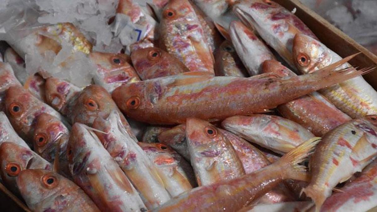 Tezgahlar balıkla dolup taştı! Fiyatlar yarıya düştü