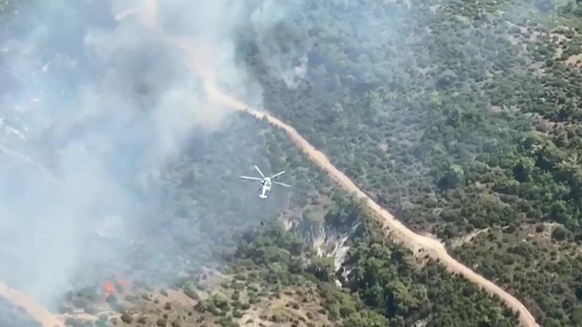Manisa'da orman yangını: Müdahale sürüyor!
