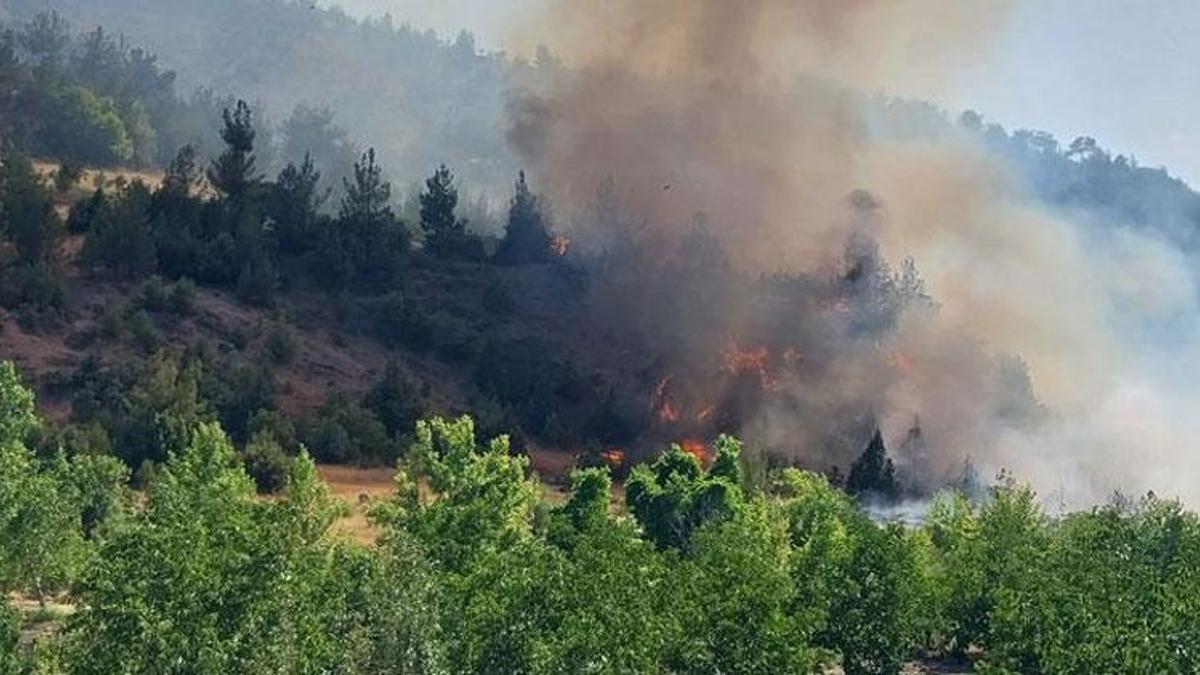 Kahramanmaraş'ta orman yangını